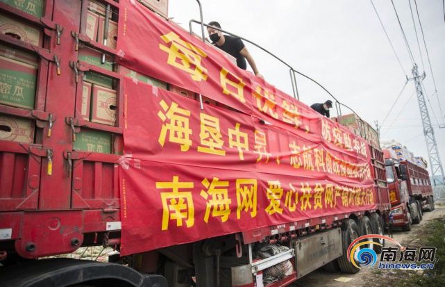 600万斤哈密瓜上线 南海网、海南爱心扶贫网联合每日优鲜解农产品销售难
